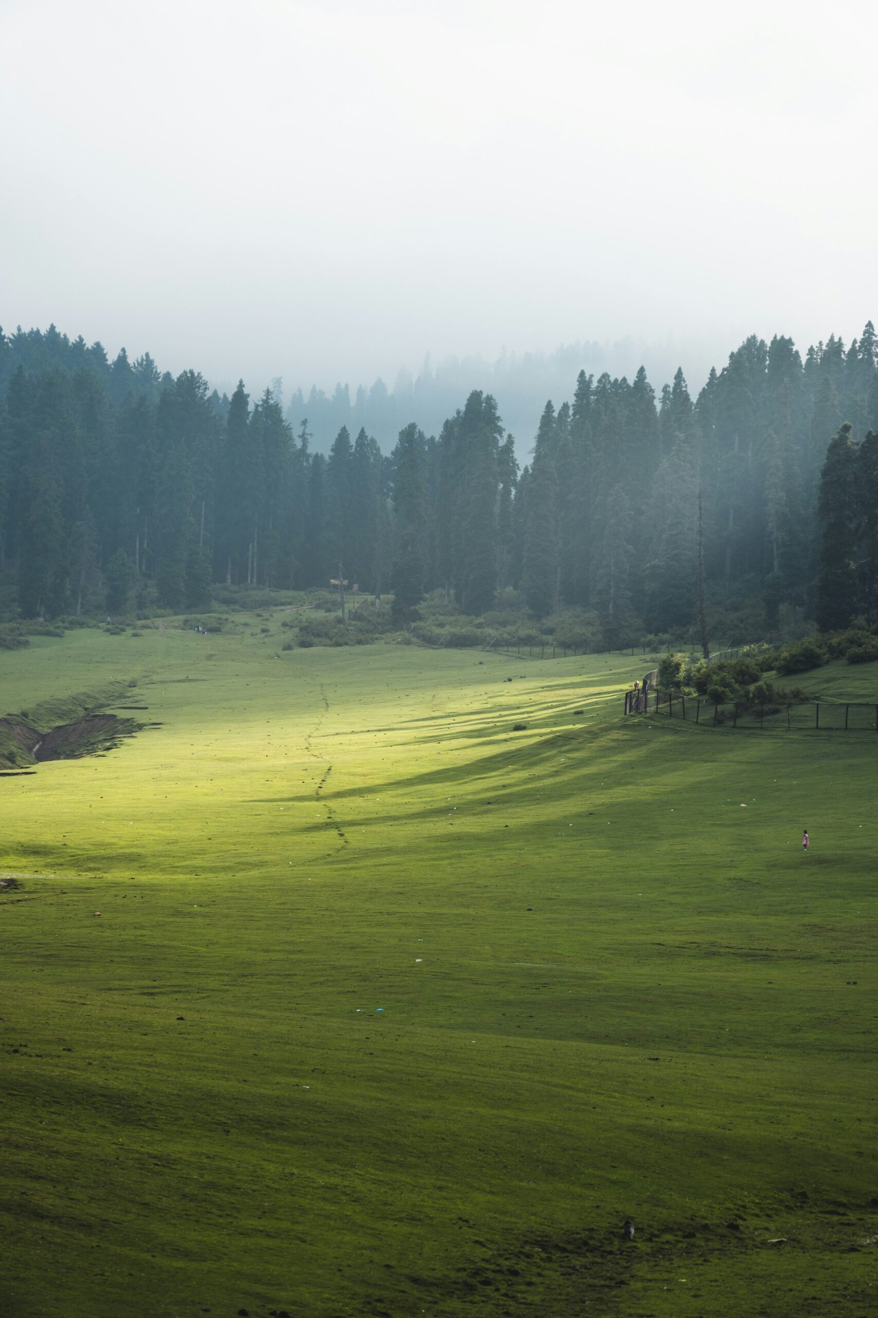 owais-khan-sEnSujdBEas-unsplash