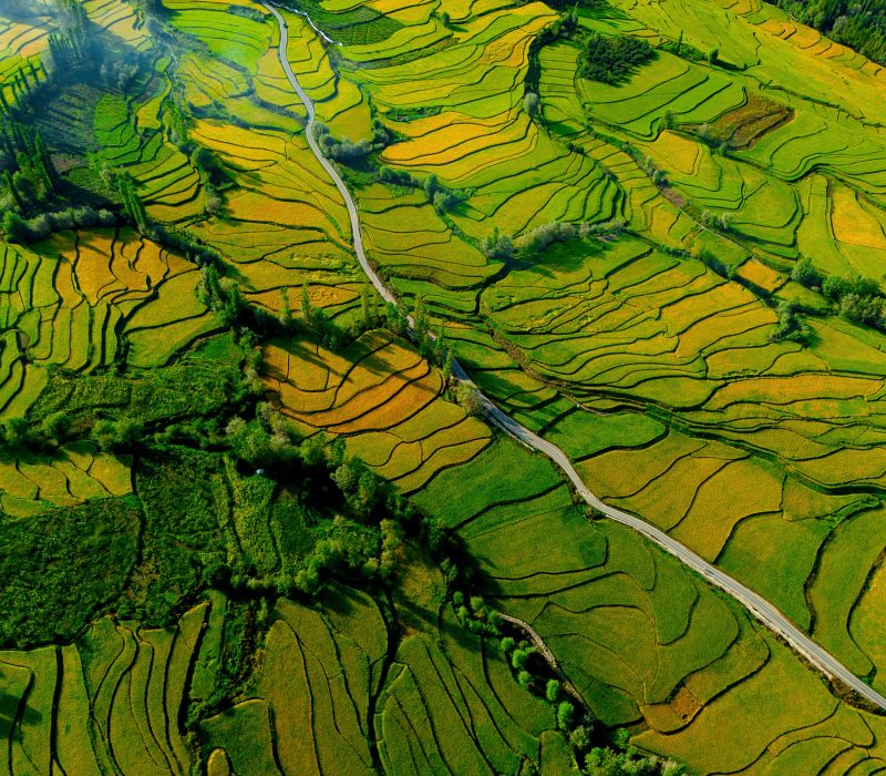 pexels-imadclicks-28302987