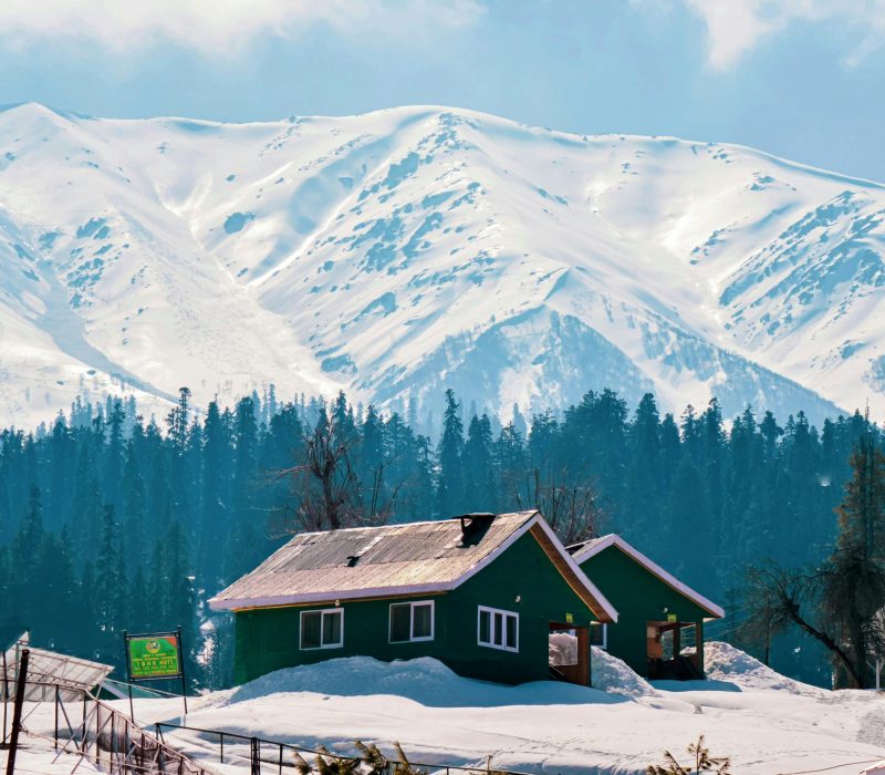 pexels-imshafeek-17501049