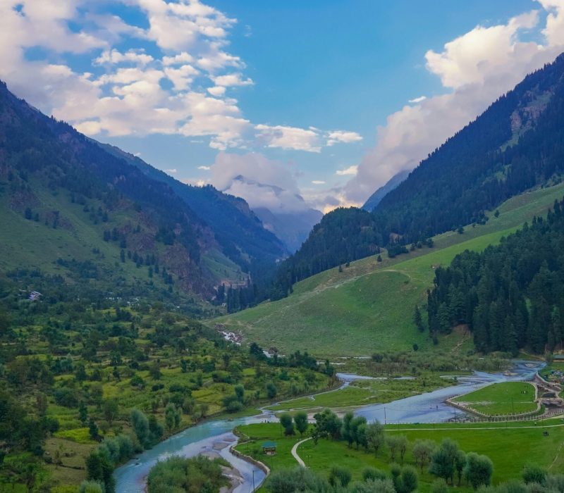 pexels-qaarif-14434881