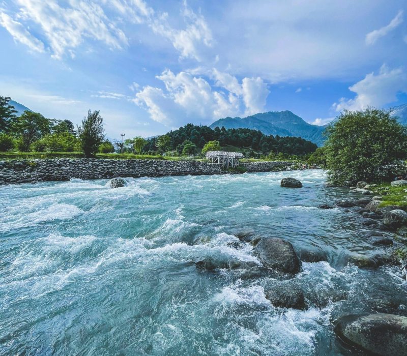 pexels-rubaitulazad-8742541