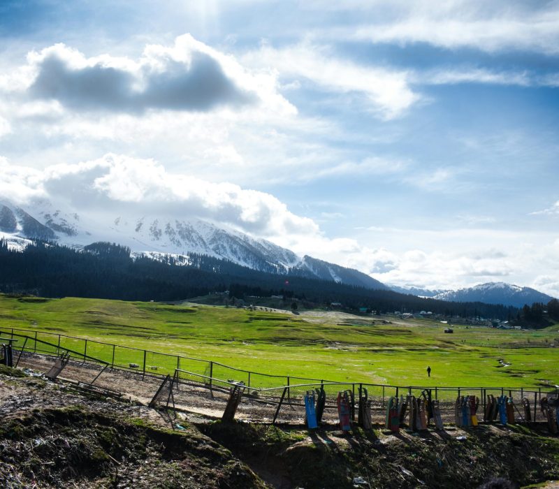 pexels-soubhagya23-18358505